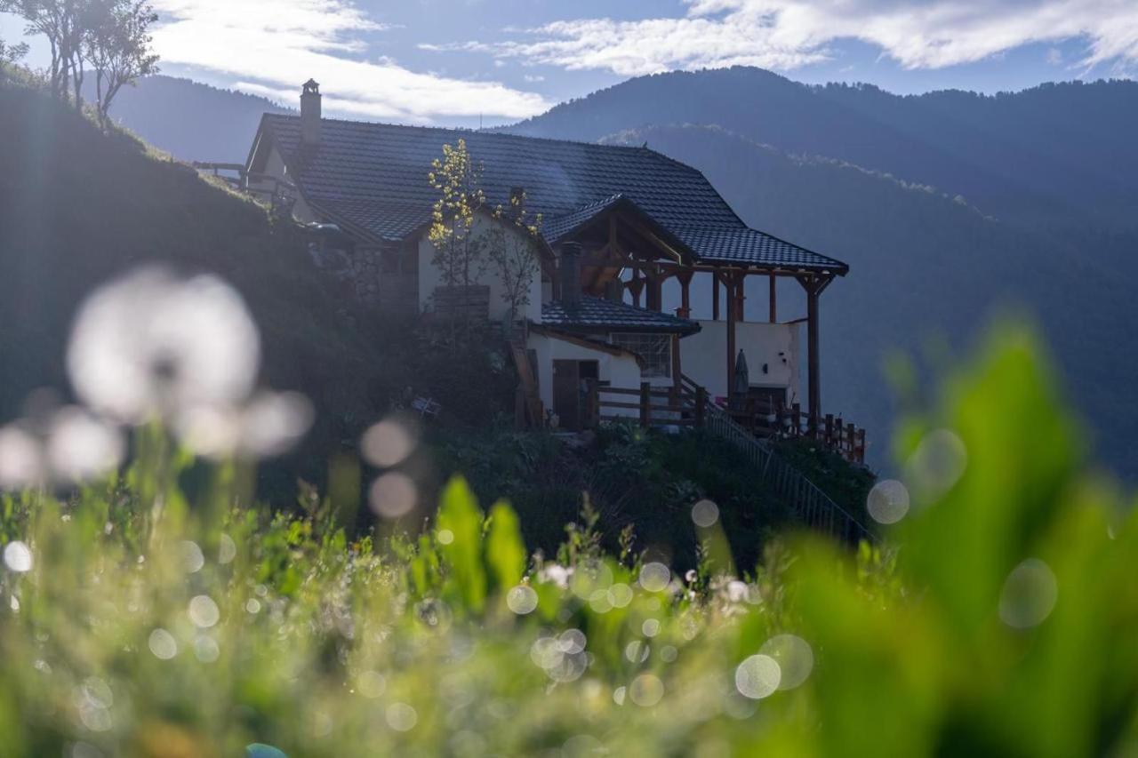 Zeneli Alpin Chalet Cerem Εξωτερικό φωτογραφία