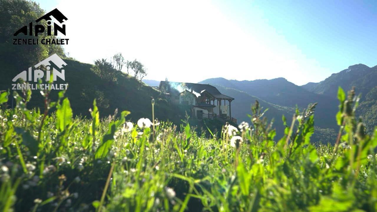 Zeneli Alpin Chalet Cerem Εξωτερικό φωτογραφία